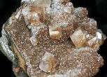 Zoned, Red Calcite Crystal Cluster - Santa Eulalia #33833-4